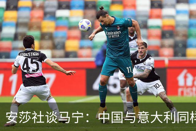 安莎社谈马宁：中国与意大利同样无缘世界杯，这位裁判被球迷追捧